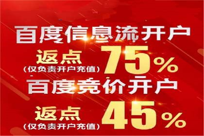 百度竞价推广公司案例：电商行业逆袭之路